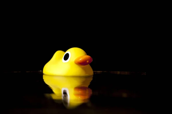 Yellow Baby Duck Garden Water — Stock Photo, Image