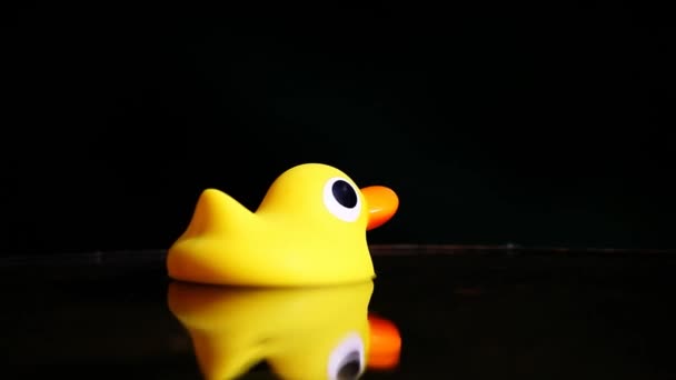 黄色小鸭花园水 — 图库视频影像