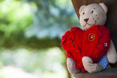 Yün ayı kırmızı kalp 