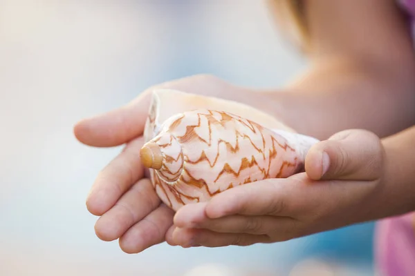 Seashell Flicka Händer Beach — Stockfoto