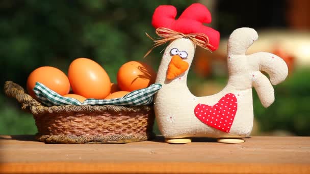 Tavuk Yumurta Çiftliği Görüntüleri — Stok video