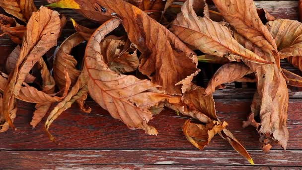 Fából Készült Asztal Ősszel Leafs Szöveg Felvétel — Stock videók