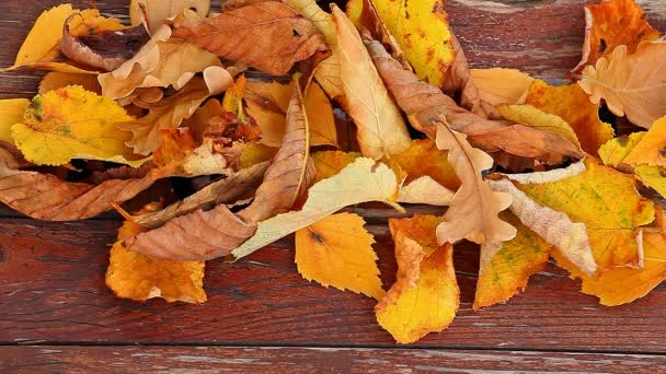 Mesa Madera Hojas Otoño Texto Material Archivo — Vídeo de stock