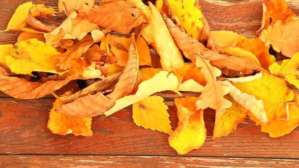 Wooden Table Autumn Leafs Text Footage — Stock Video