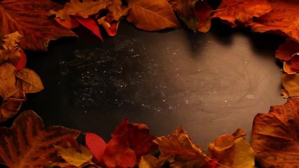 Черный Картонный Осенний Лиф — стоковое видео