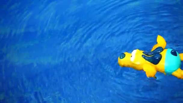 Swimming Pool Plastic Yellow Dog Footage — Stock Video