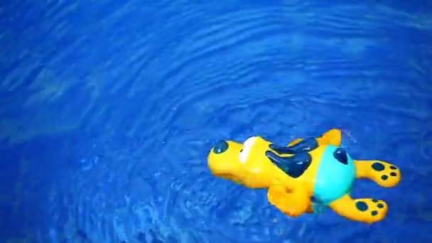 Zwembad Kunststof Gele Hond Beeldmateriaal — Stockvideo