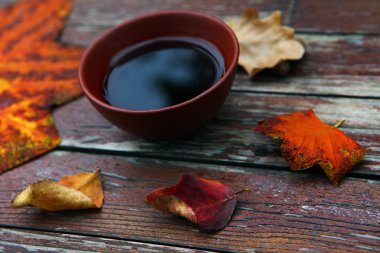 Siyah Çin çayı sonbahar bahçe yapraklar 