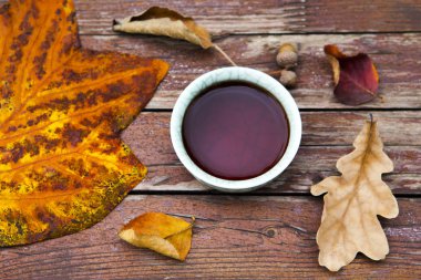 Siyah Çin çayı sonbahar bahçe yapraklar 