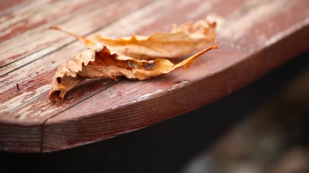Podzimní Listové Dřevěný Stůl Záběry — Stock video