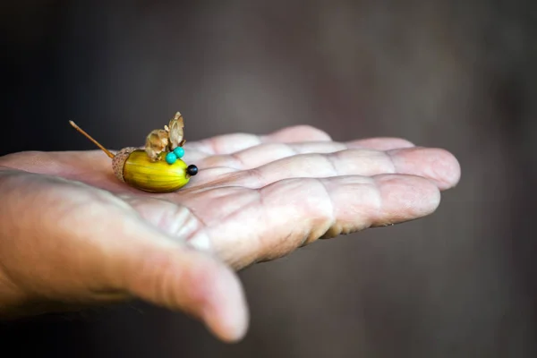 Mannen Händerna Acorn Mus — Stockfoto