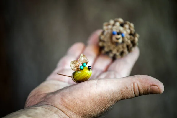 Acorn Cone Homem Mãos Outono — Fotografia de Stock