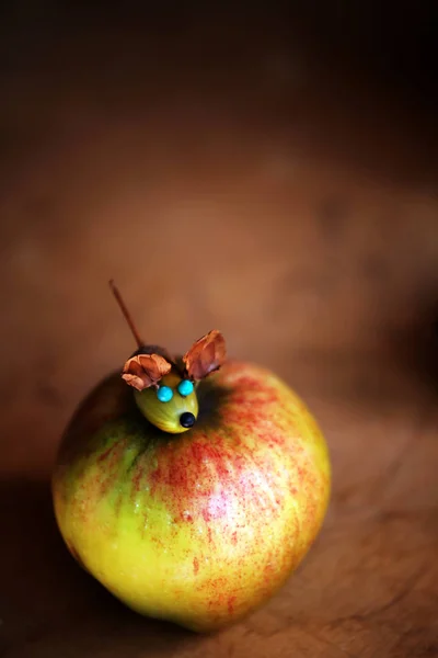 アップルのドングリの木のテーブル — ストック写真