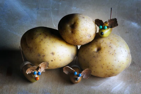 Natuurlijke Aardappel Acorn Muis Tabel — Stockfoto