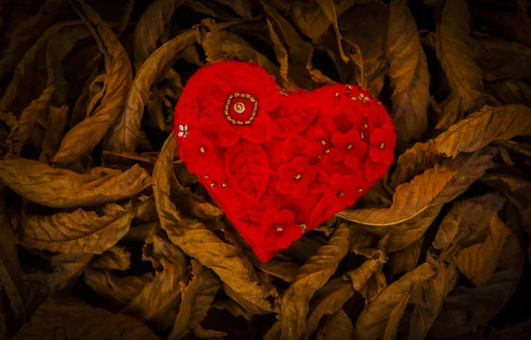 Tecido Vermelho Folhas Outono Coração — Fotografia de Stock