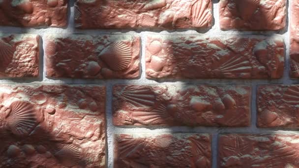 Ściana Muszli Teksturowanej Materiału — Wideo stockowe