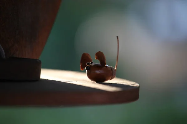 Naturaleza Bellota Ratón Hecho Mano — Foto de Stock