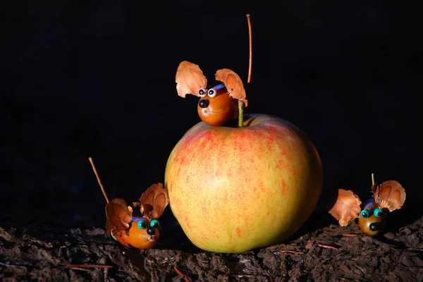 Apple Acorn Herfst Bos — Stockfoto