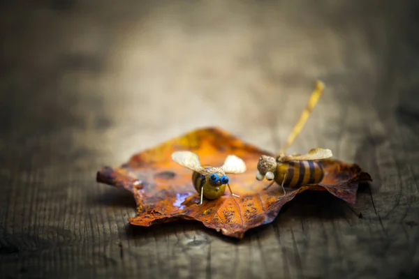 Pszczoła Ręcznie Acorn Tabela Jesień Liść — Zdjęcie stockowe