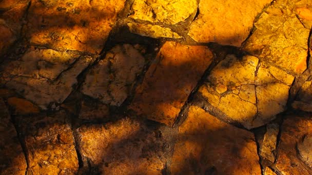 锋利的石头树阴影秋天高清影片 — 图库视频影像