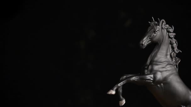 Zwarte Paard Figuur Beelden — Stockvideo