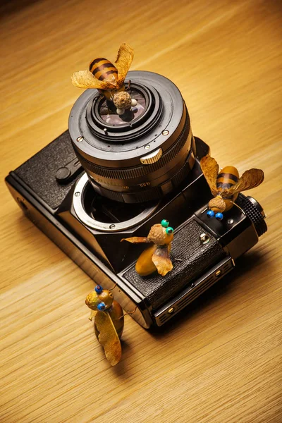 手作り蜂ドングリ テーブル レトロ写真カメラ — ストック写真