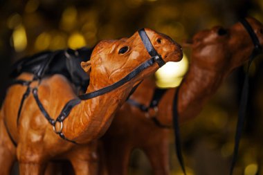 iki deve şekil Studio 