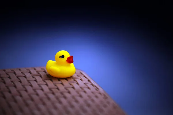 Empty swimming pool toy duck