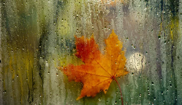 Krople Deszczu Jesienią Liści Okna — Zdjęcie stockowe