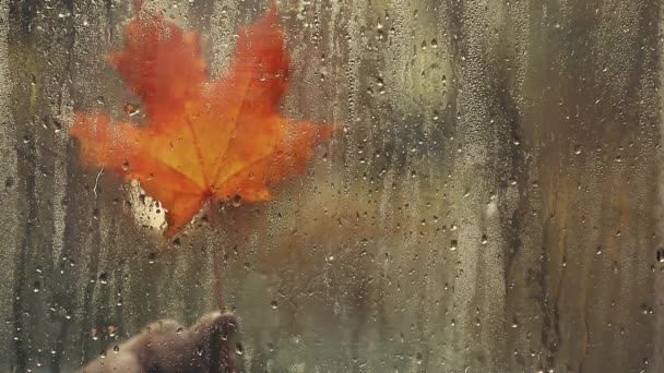 Otoño Hoja Lluvia Ventana Mano Metraje — Vídeo de stock