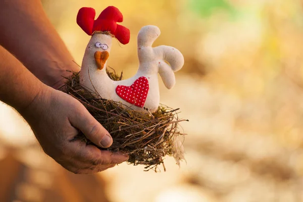 Man Hands Nest Toy Chicken — Stock Photo, Image