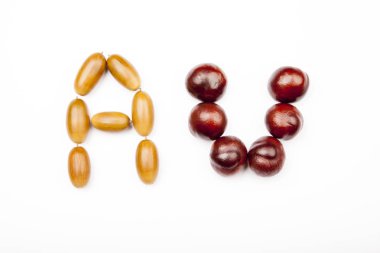 Meşe palamudu kestane alfabe beyaz arka plan 