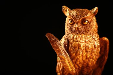 Altın baykuş resim studio 