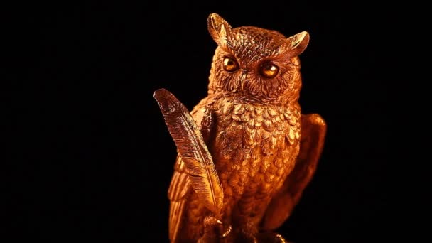 Gold Owl Figure Studio Footage — Stock Video