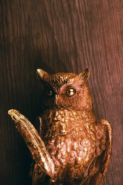 Gold Owl Figure Studio — Stock Photo, Image