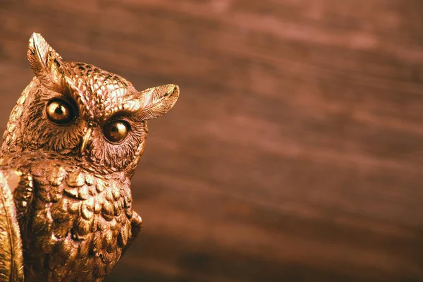 Gold Owl Figure Studio — Stock Photo, Image