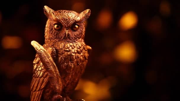 Gold Owl Figure Studio Footage — Stock Video