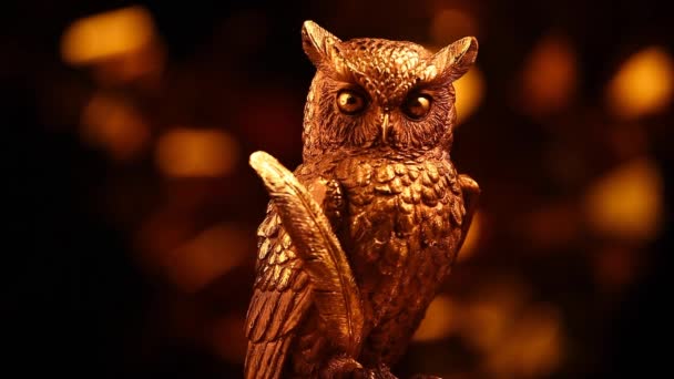 Gold Owl Figure Studio Séquences — Video