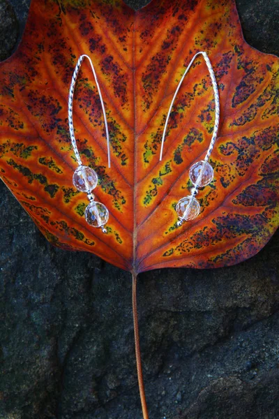 Srebrne Kolczyki Rhinestone Jesień Liści Natura — Zdjęcie stockowe