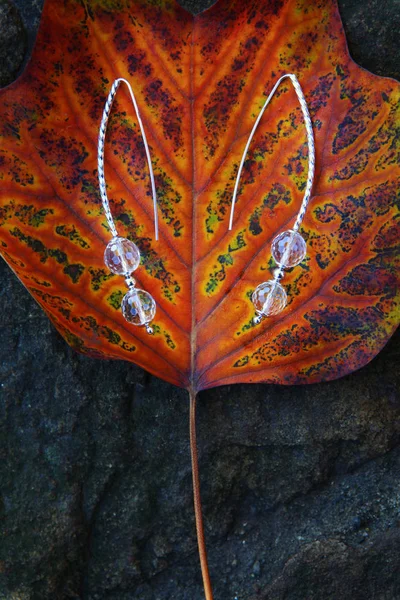 Boucles Oreilles Argent Strass Automne Feuilles Nature — Photo