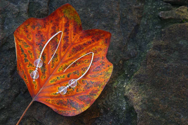 Zilveren Oorbellen Strass Herfst Bladeren Natuur — Stockfoto