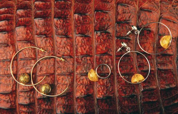 Stříbrná Náušnice Zlaté Prsten Murano Sklo Krokodýl Pozadí — Stock fotografie