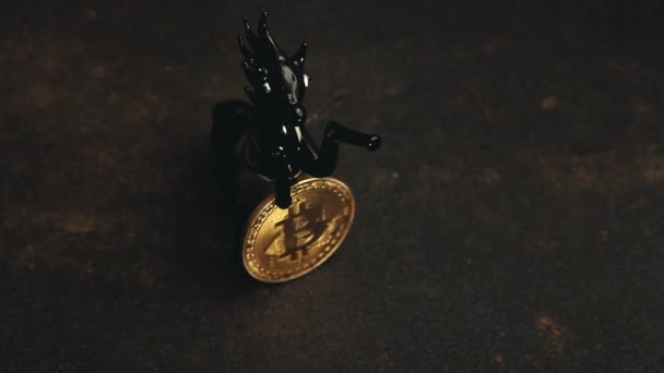 Bitcoin Pièce Cheval Noir Moscou Décembre 2018 Fond Asphalte Images — Video