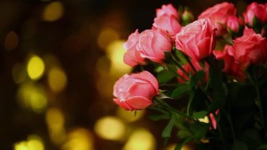 pembe gül çiçek hd görüntüleri altın bokeh 