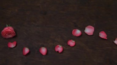 Petal gül ahşap masa hd ayak pembe