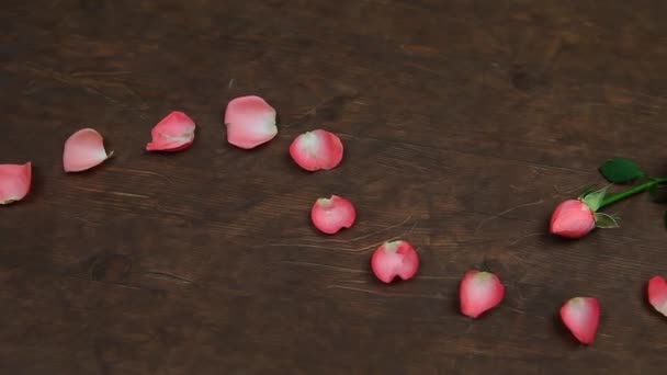 Rosa Blütenblatt Rose Holztisch Filmmaterial — Stockvideo