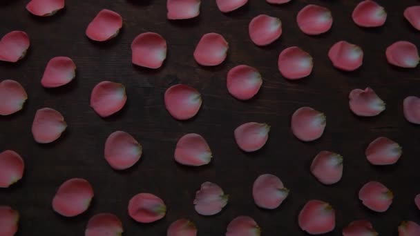Розовые Лепестки Розы Деревянный Стол Кадры — стоковое видео