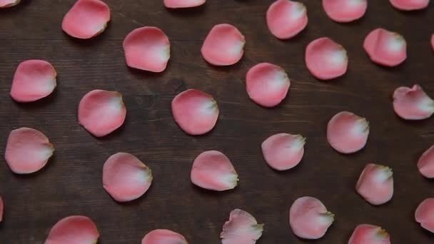 Rózsaszín Rózsa Szirom Fából Készült Asztal Felvétel — Stock videók