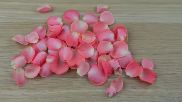 Tabla Madera Amor Texto Rosa Pétalos Metraje — Vídeo de stock