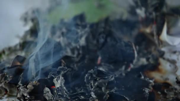 Бумажный Дым Кадров — стоковое видео